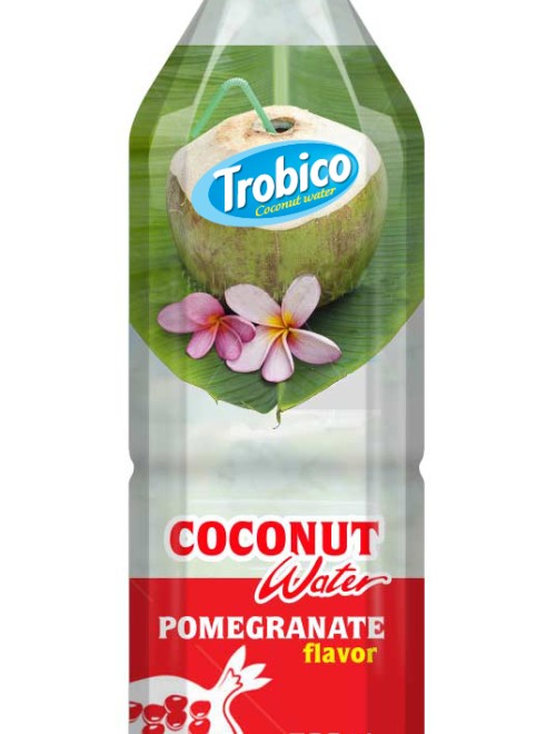 500ml Fruit Flavour Coconut Water